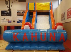 Big-Kahuna-Slide