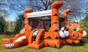 Newest-tiger bounce