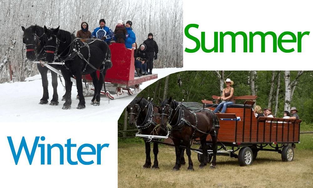 winter or summer sleigh rides