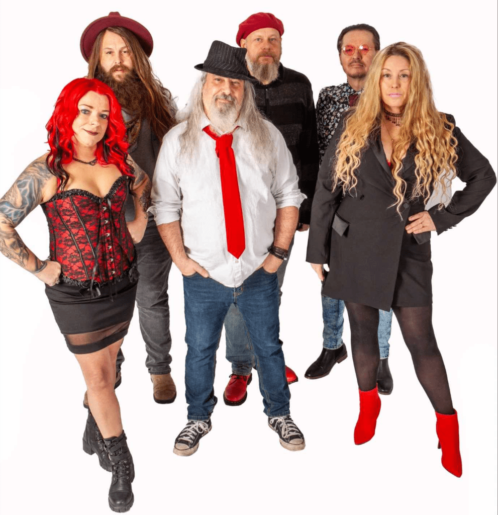 Fleetwood Mac Tribute Band