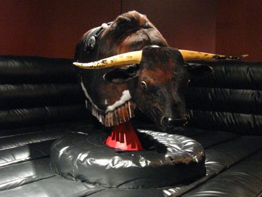 Ride the Mechanical Bull