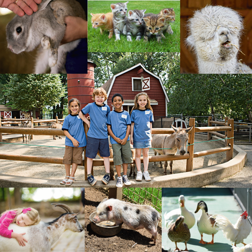 Bring the Petting Zoo to you!